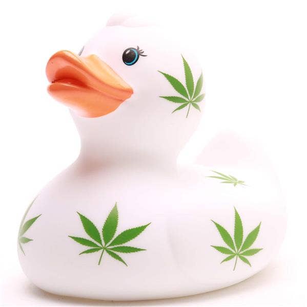 Perfil del pato de goma decorado con hojas verdes
DESCRIPCIÓN SEO HTML
