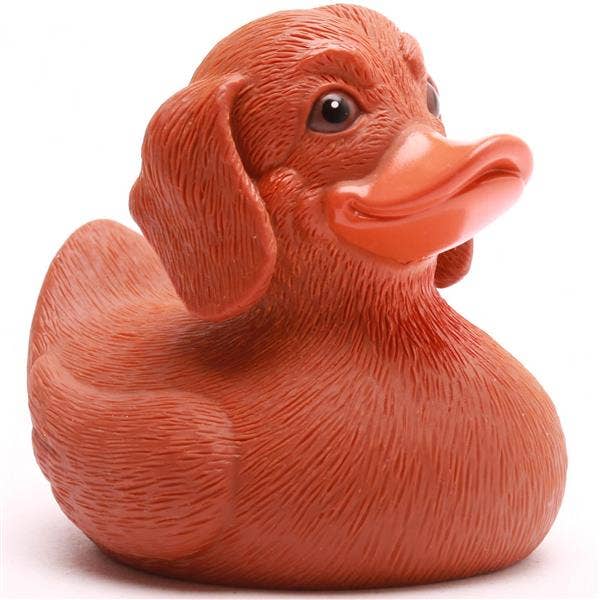 Pato de goma perro salchicha flotando en el agua