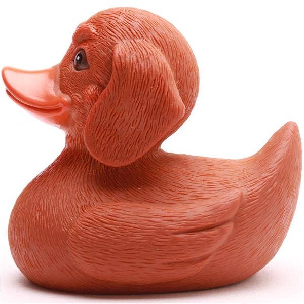 Pato de goma perro salchicha para coleccionistas
