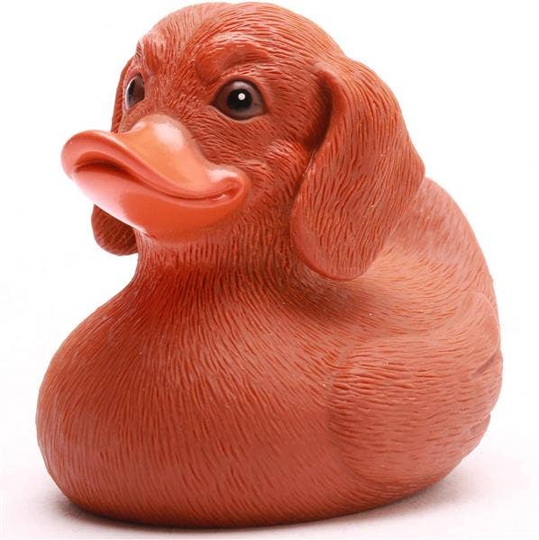 Pato de perro salchicha detalle frontal